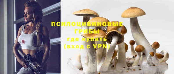 прущие грибы Алексин