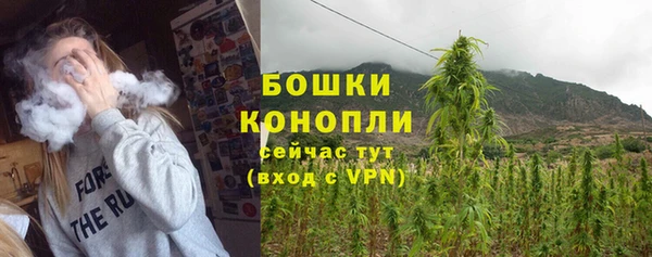 шишки Алексеевка