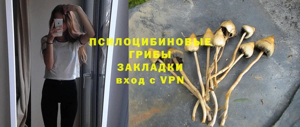 шишки Алексеевка