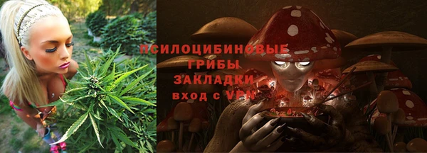 прущие грибы Алексин