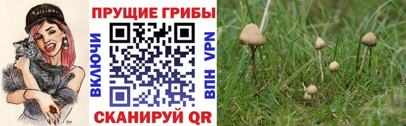 Галлюциногенные грибы мицелий Себеж